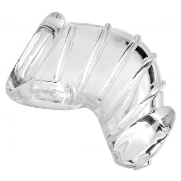 Master Series Detained Chastity Cage